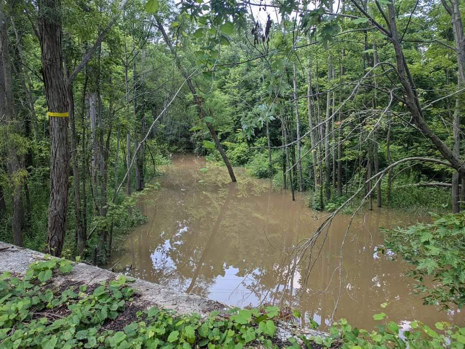 Aquifer around Dresden dump ‘highly&nbsp;vulnerable’